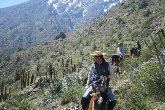 Horse Riding Tour in the Andes Santiago Chile - Good To Know