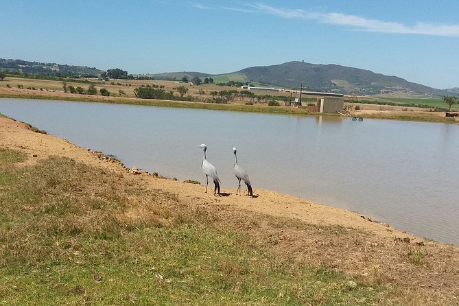 Horse Riding Wildlife Safari - Good To Know