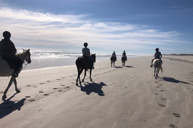 Horse Safari & Beach Ride Western Cape