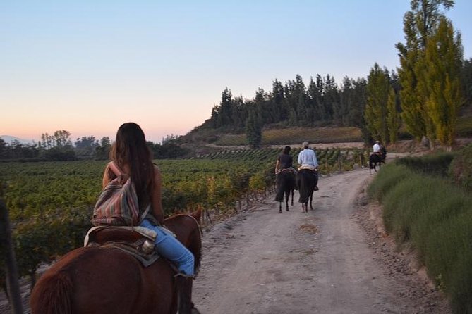 Horseback Private Wine Tour and Country Grill From Santiago - Tour Highlights