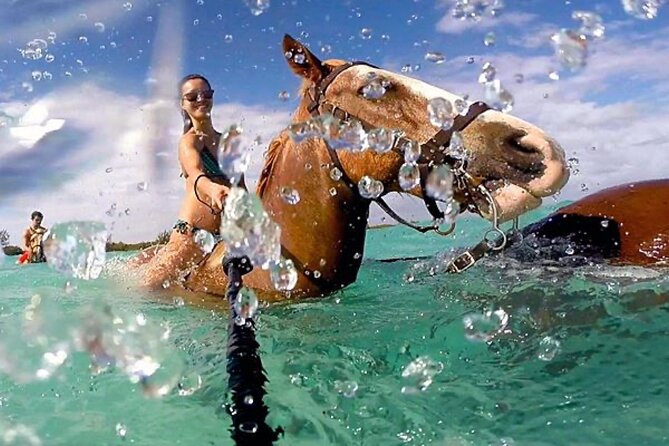 Horseback Ride Adventure Activity Inclusive With Transportation From Montego Bay - Good To Know