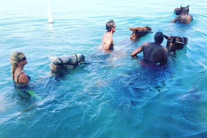 Horseback Ride and Swim From Ocho Rios
