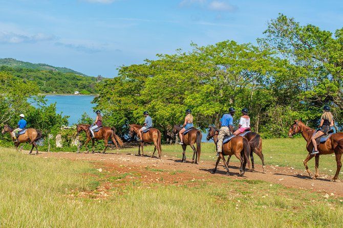 Horseback Ride and Swim From Ocho Rios
