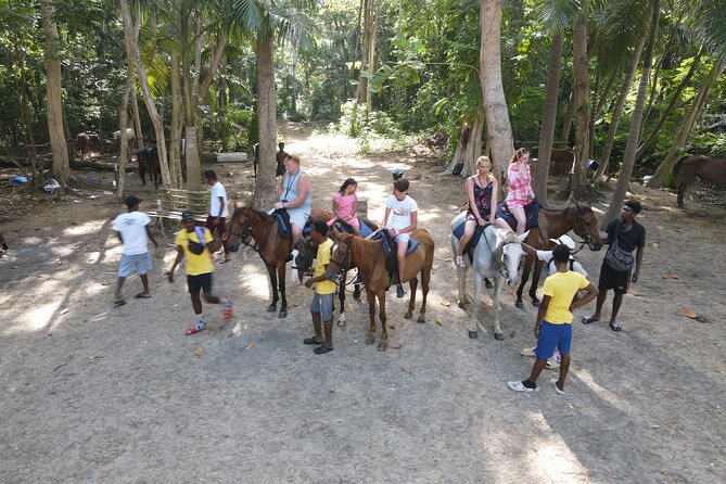 Horseback Ride and Swim in Ocho Rios With Transportation - Good To Know