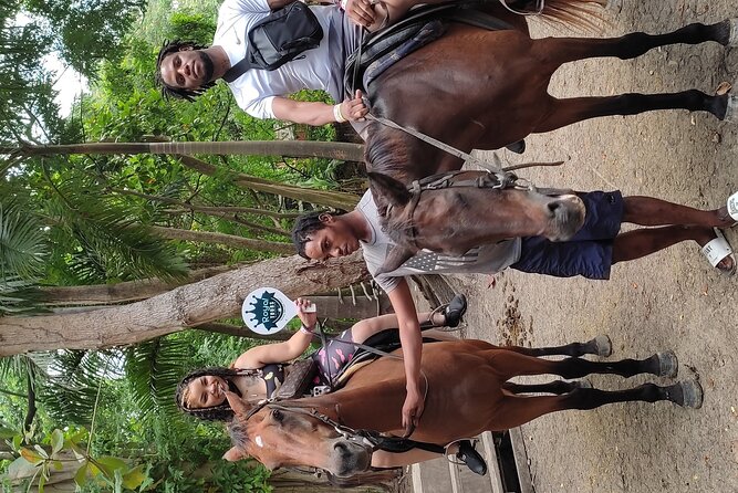 Horseback Ride & Bamboo Rafting Jamaica Experience