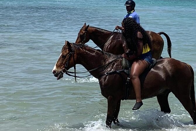 Horseback Ride N Swim With Private Transportation From Montego Bay - Inclusions and Services