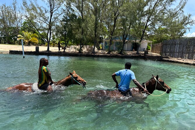 Horseback Ride & Swim Private Tour From Montego Bay - Good To Know