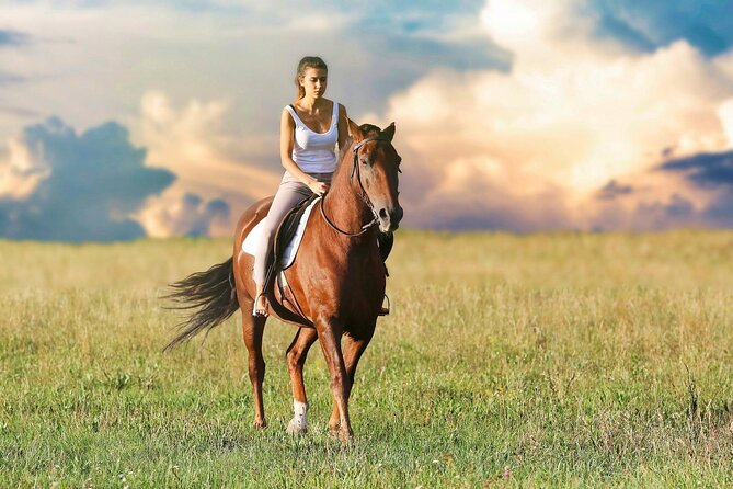 Horseback Ride Through Puerto Plata - Good To Know