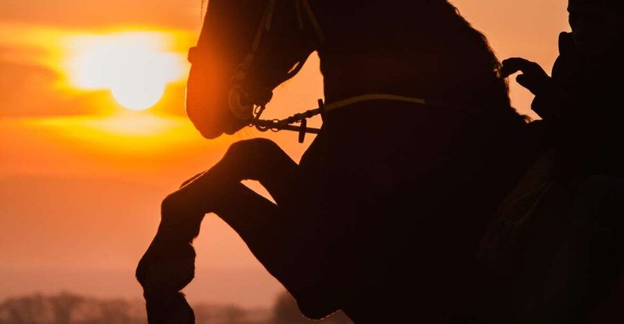 Horseback Ride With Sunset and Dinner Show in Agafay Desert - Good To Know