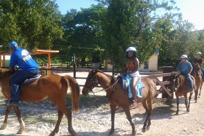 Horseback Ride Ziplining and Dunns River Falls Adventure From Montego Bay, - Good To Know
