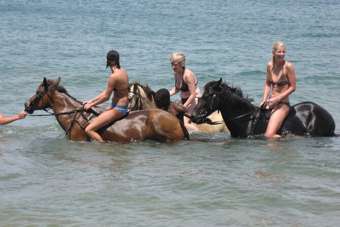 Horseback Riding and Beach BBQ in St Lucia - Good To Know