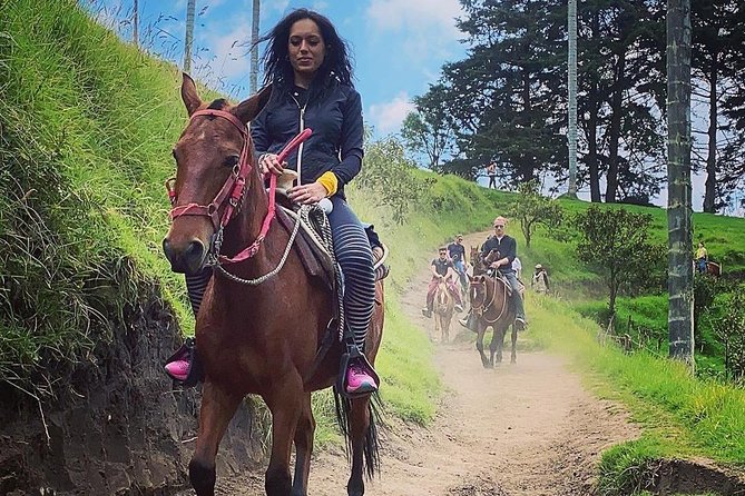 Horseback Riding and Excursion in Cocora Valley