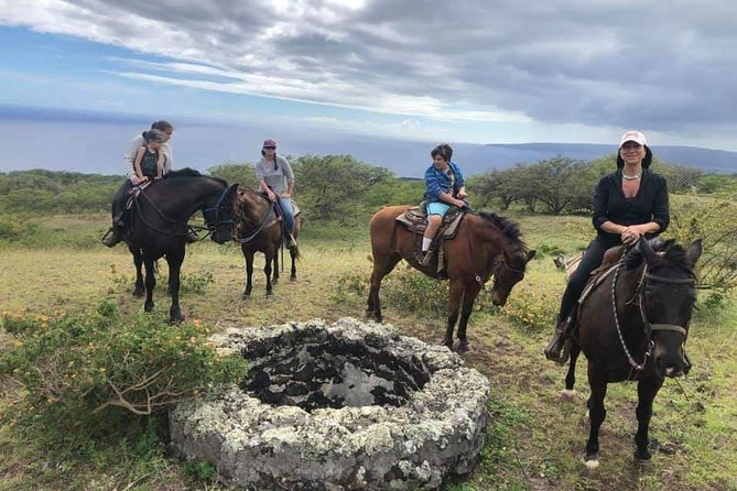 Horseback Riding and Wine Tours - Good To Know