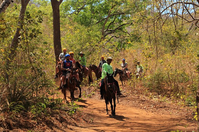 Horseback Riding at Diamante Eco Adventure Park - Good To Know