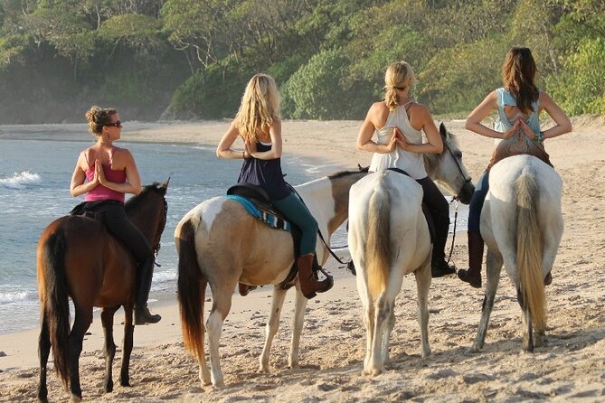 Horseback Riding at Macao Beach - Good To Know