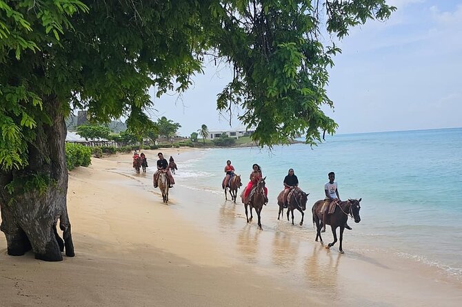 Horseback Riding at Sandy Beach in Antigua
