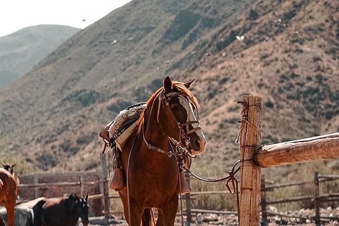 Horseback Riding at Sunset - Good To Know
