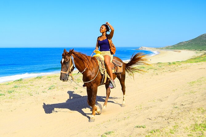 Horseback Riding Experience in Punta Cana