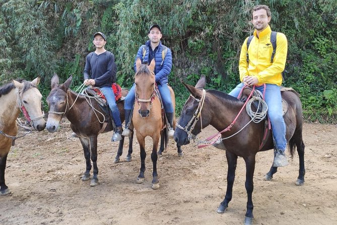 Horseback Riding From Guadalupe to Monserrate Private Day-Tour - Good To Know