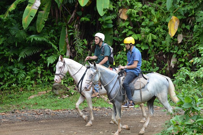 Horseback Riding From Manuel Antonio - Good To Know