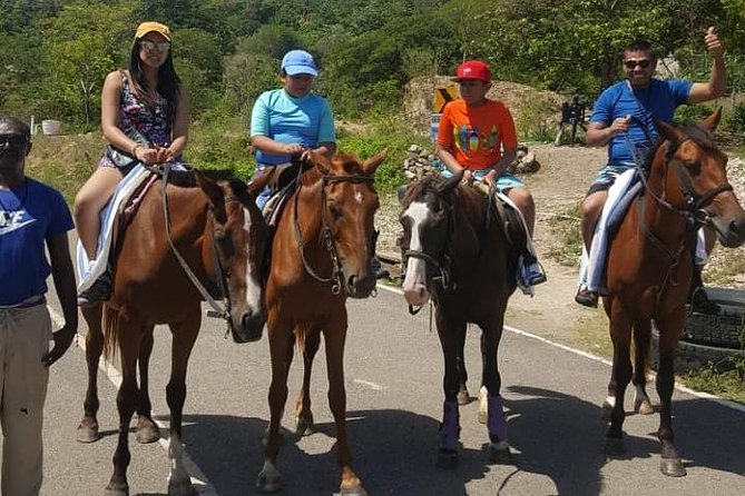 Horseback Riding From Montego Bay - Pricing and Booking
