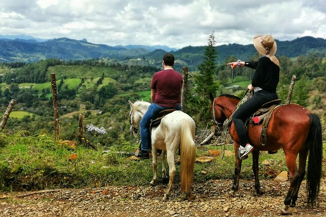 Horseback Riding in Medellin: Private Tour - Good To Know