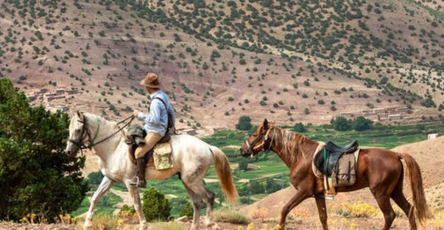Horseback Riding in the High Atlas Mountains With Overnight - Good To Know