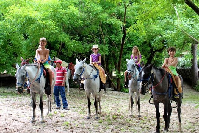 Horseback Riding Jungle and Beach in Playa Flamingo - Good To Know