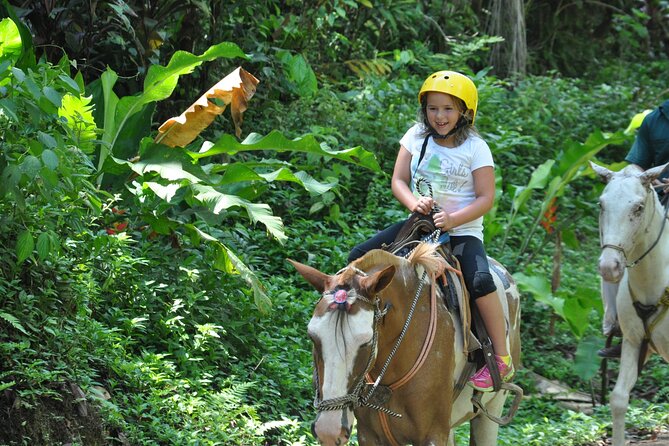 Horseback Riding Through the Jungle - Overview and What To Expect