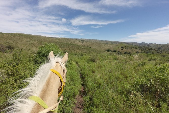 Horseback Riding Through the Sierras - Good To Know