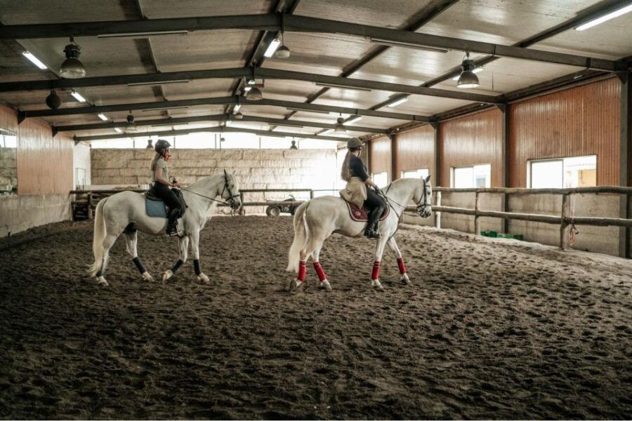 Horseback Riding Tour