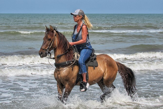 Horseback Riding Tour in a Colombian Paso Fino Horse - Good To Know