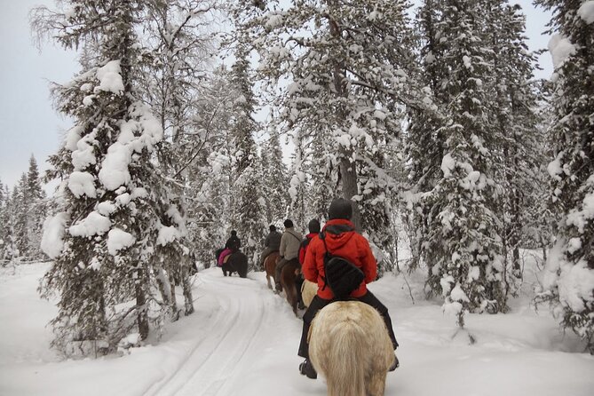Horseback Riding Tour in Levi