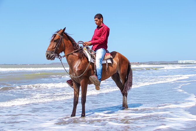 Horseback Riding Tour Through the Beaches of Cartagena De Indias - Tour Highlights