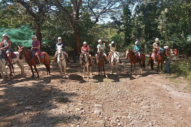 Horseback Riding Tours on the Beach, Mountain