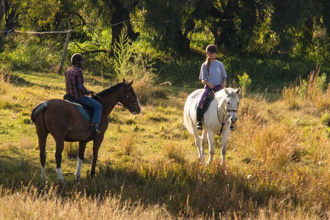 Horseback Small-Group Trail Rides in Muldersdrift - Good To Know