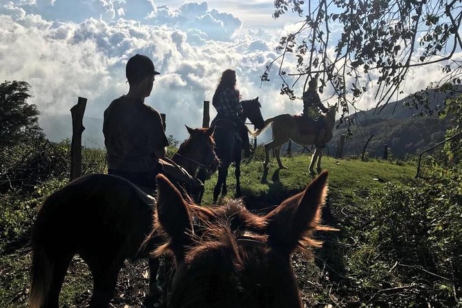 Horseback Trail Ride & Heritage Ranch Visit, Antigua - Good To Know