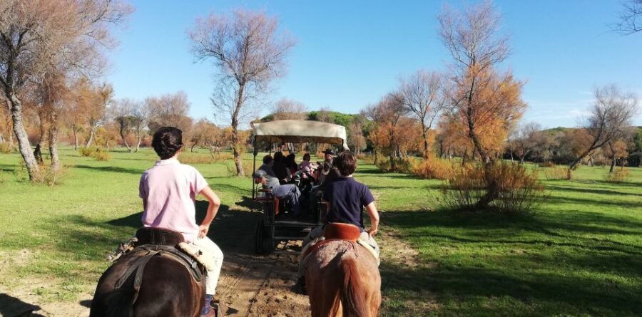 Horseride Three Hours for National Park and Village of Rocio - Good To Know