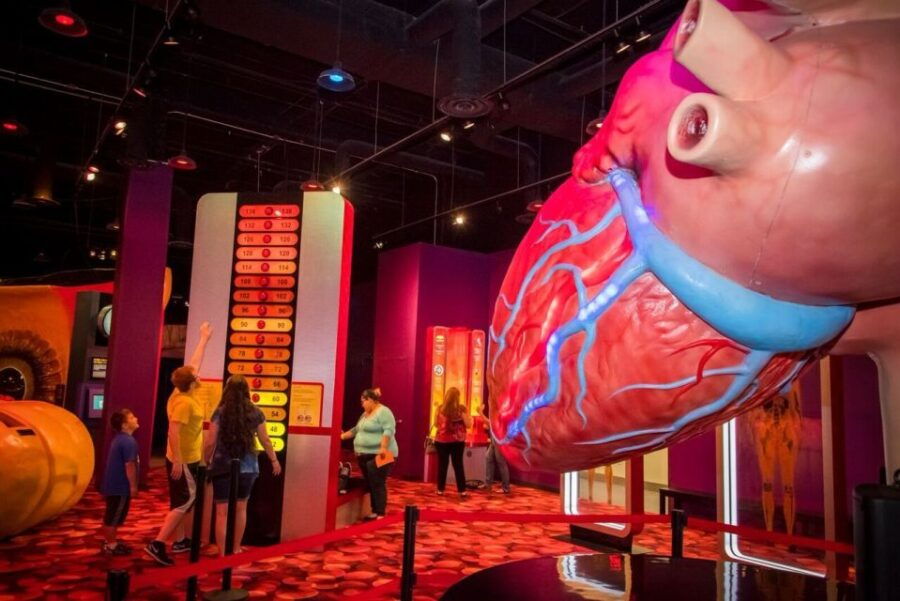 Houston: 1-Day or 3-Day Museum Pass - Good To Know