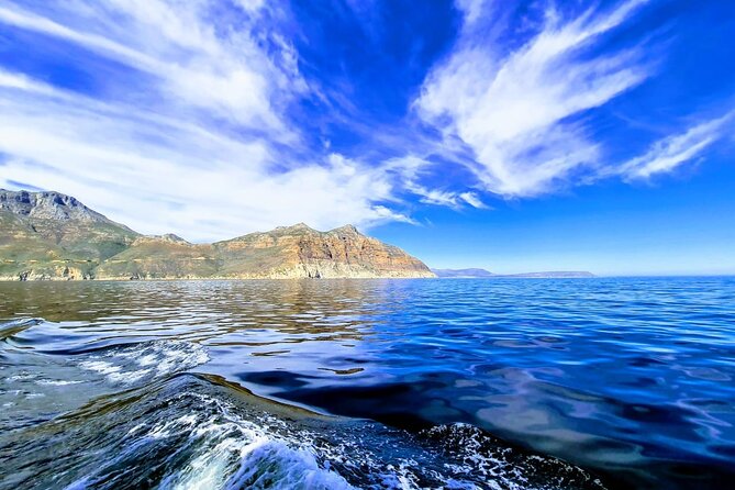 Hout Bay Tour Boat Trip to Seal Island and Drive up Chapmans Peak - Boat Trip to Seal Island