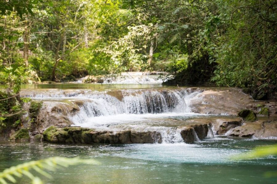 Huatulco: Coffee Flavor Waterfall Tour With Local Lunch - Good To Know