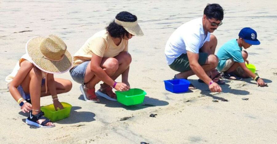 Huatulco:Turtle Release,Horseback Riding and Bioluminescence - Good To Know