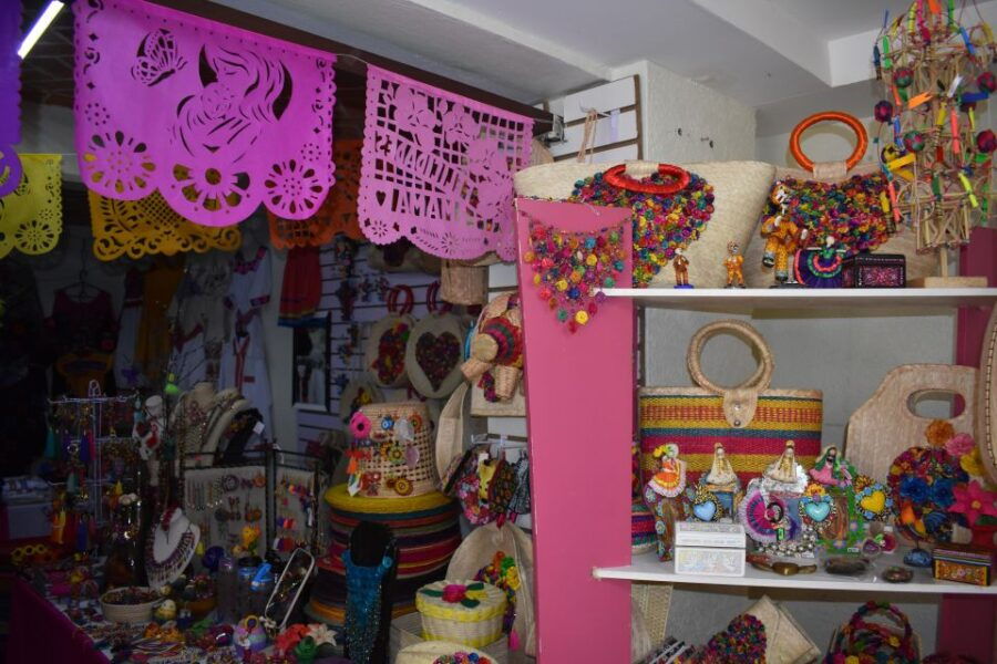 Huauchinango: City Tour, Necaxa Dam and Coffee Plantations