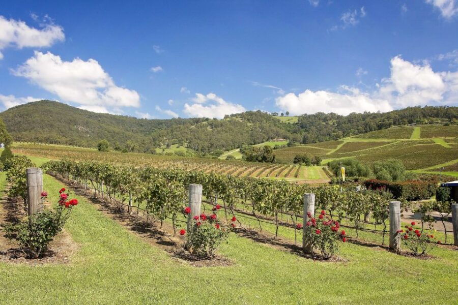 Hunter Valley: Wine Tour With 3 Tastings and Garden Lunch - Good To Know