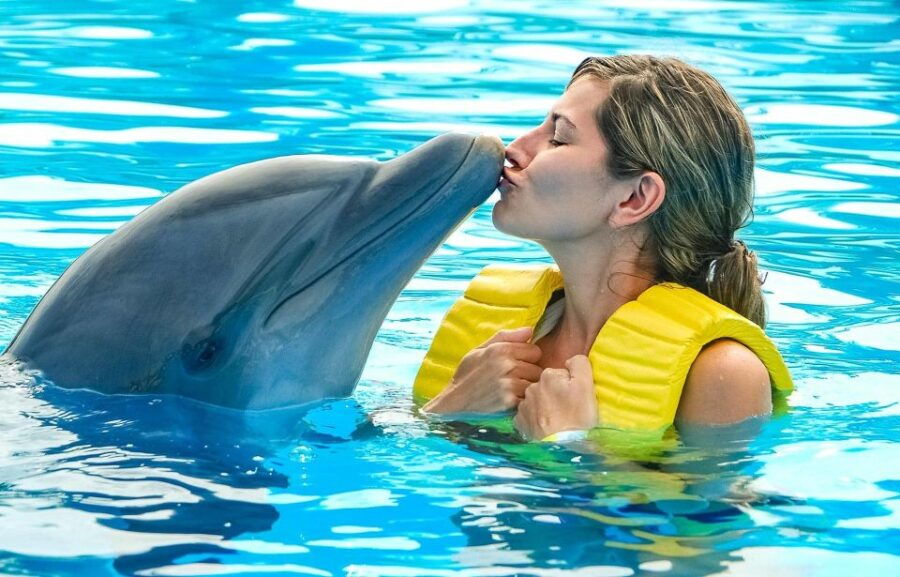 Hurghada: 1-Hour Show at Dolphin World With Optional Pickup - Good To Know