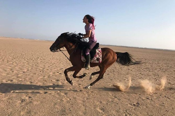 Hurghada: 2 Hours Camel and Horse Riding Adventure on The Sea.