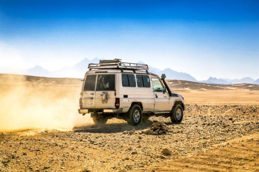 Hurghada: A.Tv Quad, Jeep, Camel and Buggy With BBQ Dinner