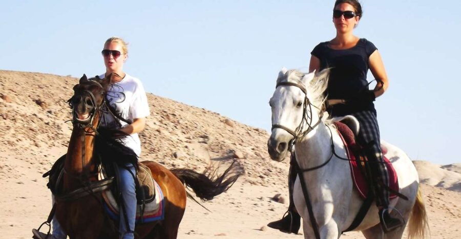 Hurghada: Arabian Desert and Sea Horseback Adventure - Good To Know