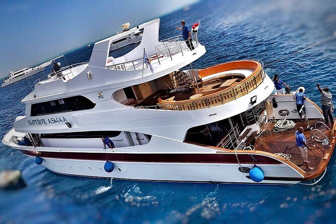 Hurghada Boat Trip to See Dolphins With Snorkeling and Lunch