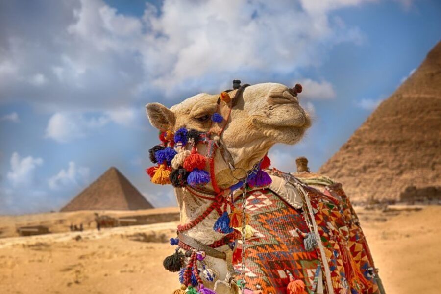 Hurghada: Cairo & Giza Pyramids, Museum & Nile Boat Trip - Good To Know